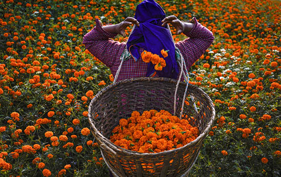 Фотохроника 2 ноября