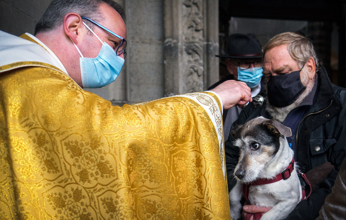 В бельгийском городе Сент-Юбер священник провел ежегодную церемонию благословения животных возле базилики Святых Петра и Павла