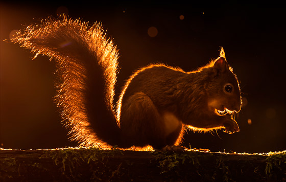 Лучшие фото недели