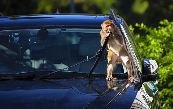 Фотохроника 8 ноября