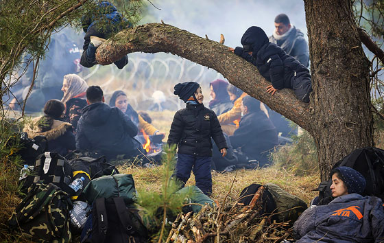 Мигранты на границе Польши и Белоруссии