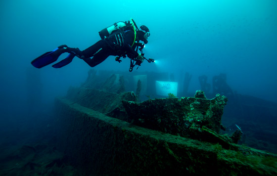 Фотохроника 11 ноября