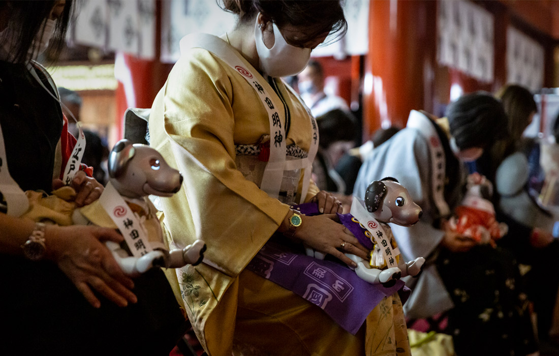 Владельцы роботов-собак Aibo провели совместную молитву в храме Канда в Токио