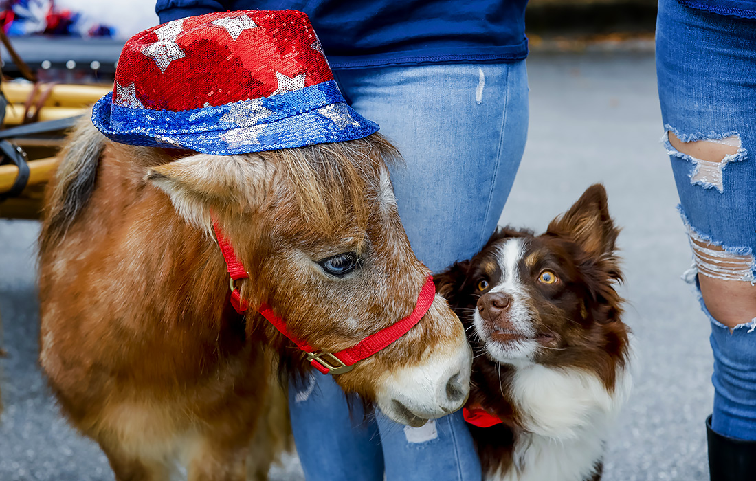 Ежегодный парад в честь Дня ветеранов в США