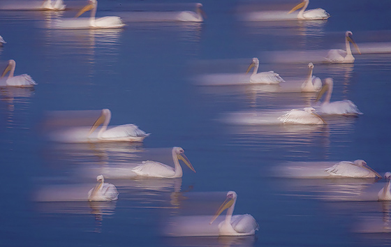 Лучшие фото недели