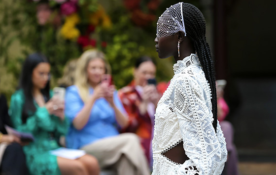 Фотохроника 15 ноября