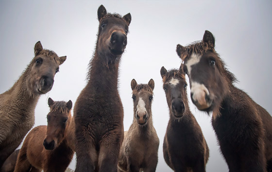 Лучшие фото недели