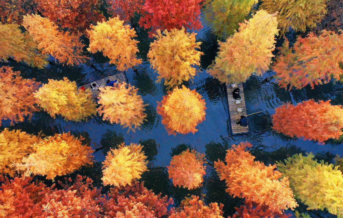 Парк водно-болотных угодий озера Хунцзе. Провинция Цзянсу, Китай.