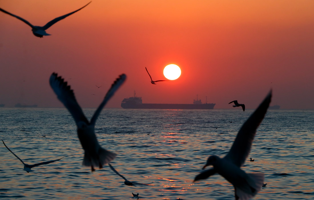 Рассвет на побережье в Текирдаге, Турция