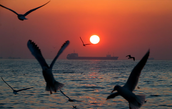 Фотохроника 22 ноября