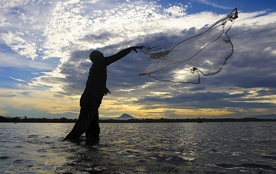 Фотохроника 23 ноября