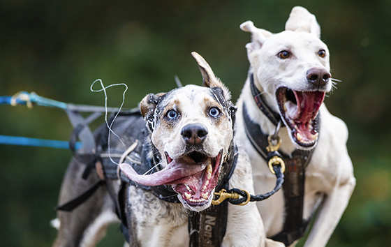 Лучшие фото недели