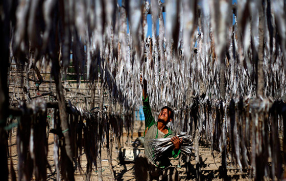 Фотохроника 30 ноября