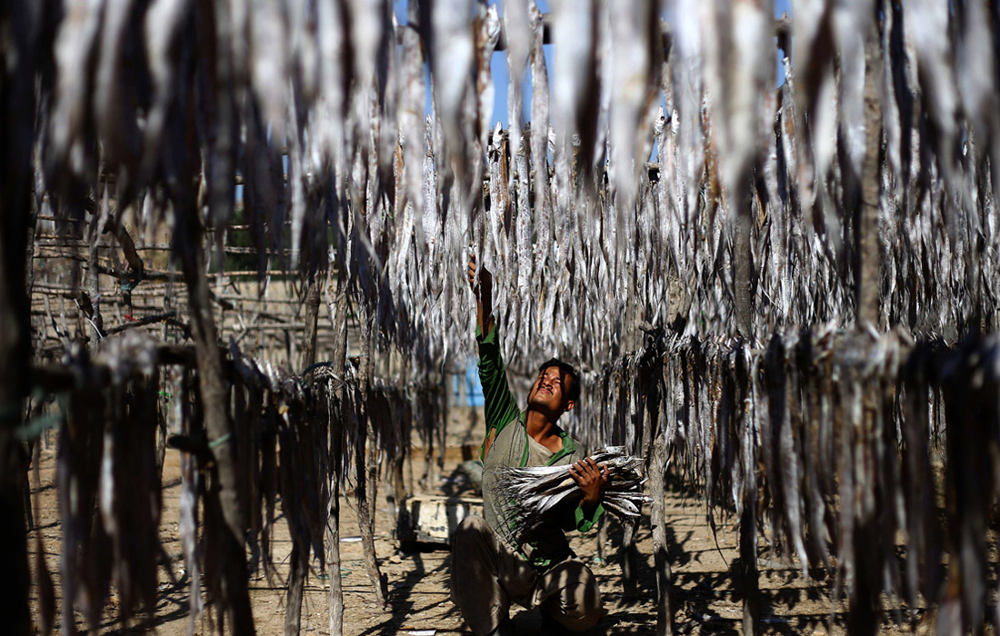 Сушка рыбы на пляже в Карачи, Пакистан