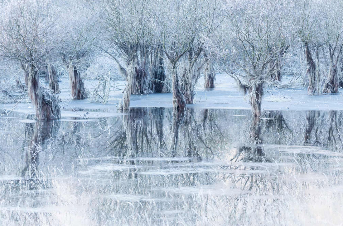 "Ледяное озеро". Кристиано Вендрамин, Италия.