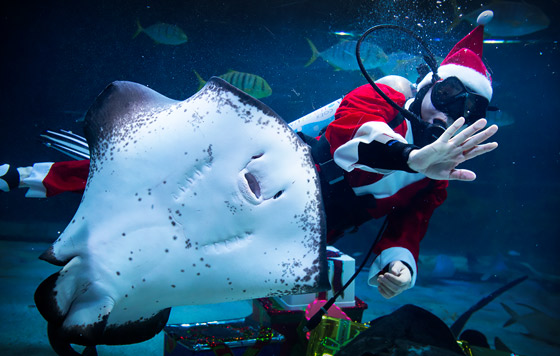 Фотохроника 3 декабря