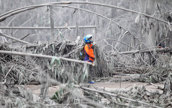 Фотохроника 6 декабря