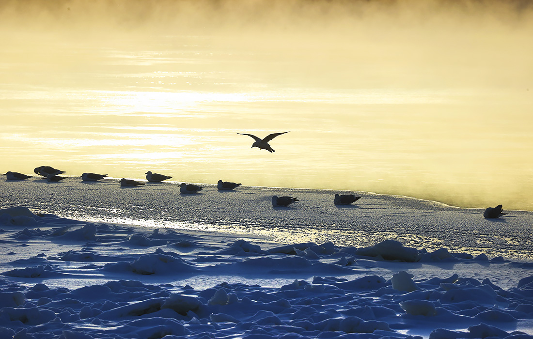 Санкт-Петербург