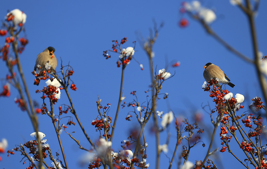 Юрьевец, Ивановская область