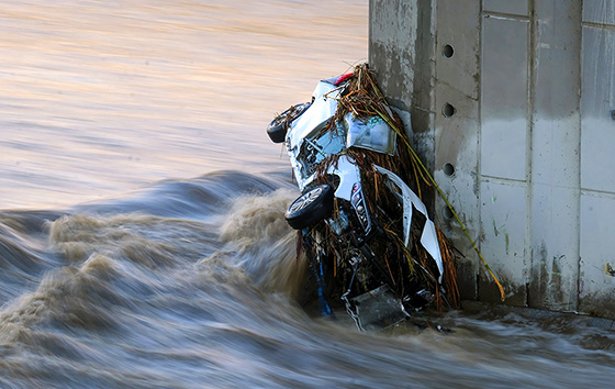 Фотохроника 15 декабря