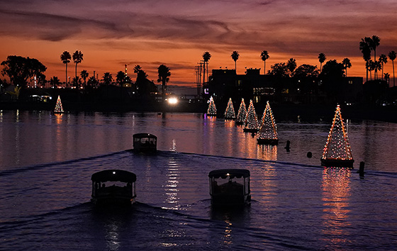 Фотохроника 20 декабря