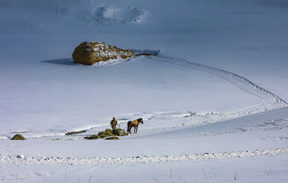 Турецкий фермер недалеко от города Ван