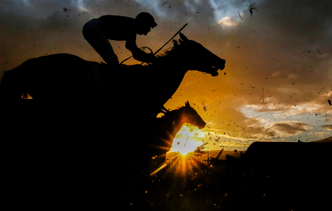 Гонки на ипподроме Кембла-Грейндж в Сиднее
