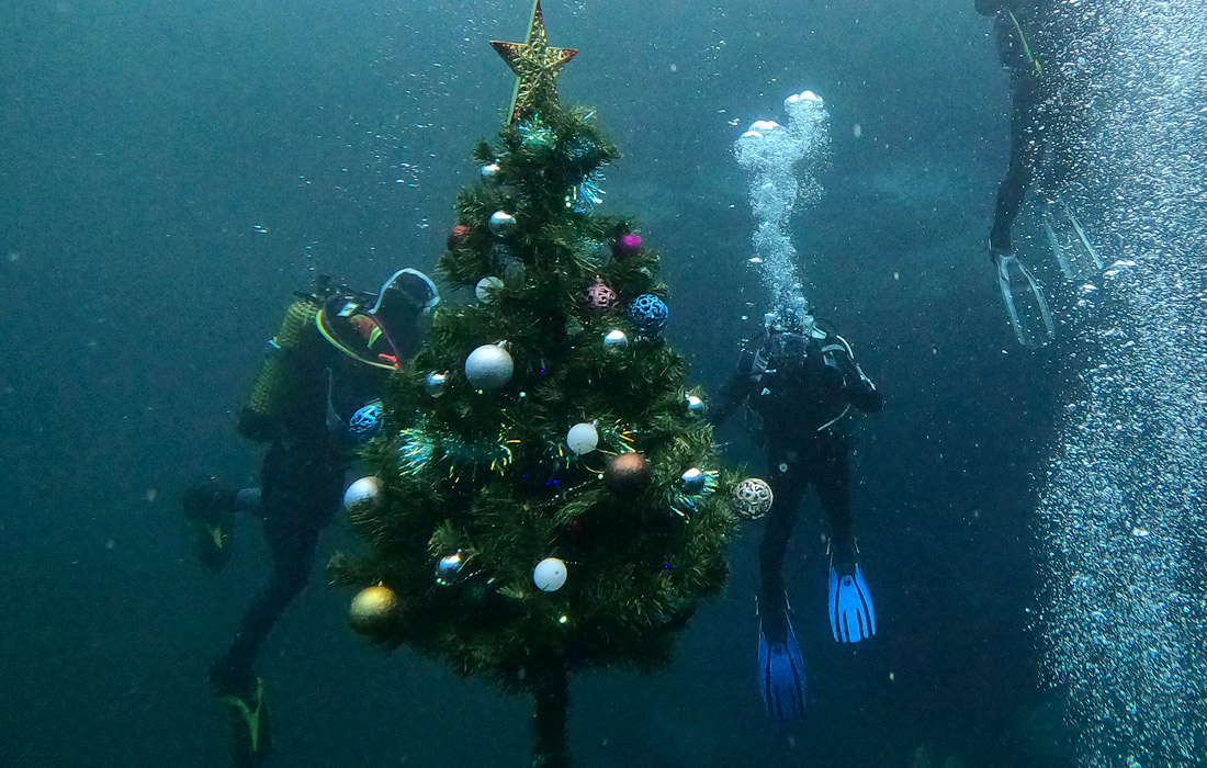 Установка новогодней ели на дне Голубого озера в Казани