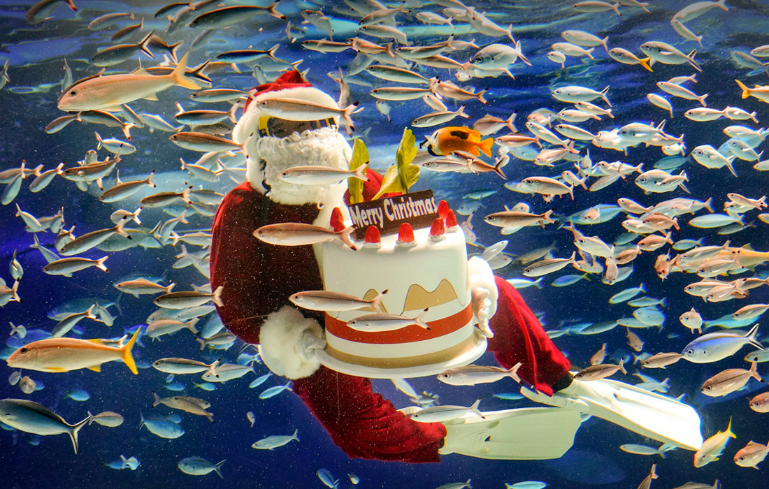 Дайвер в костюме Санта-Клауса в океанариуме Токио