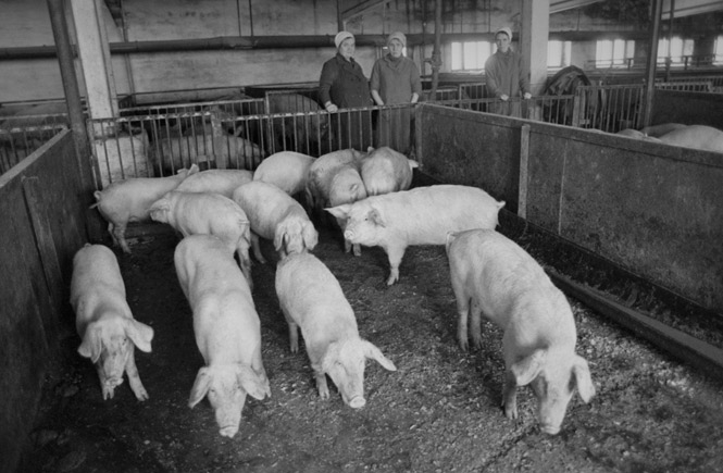 Десять способов разбогатеть