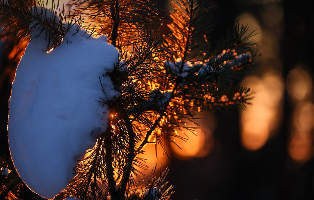 Мороз в Иваново