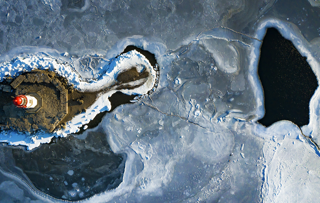 Белухи и тюлени у Токаревского маяка во Владивостоке