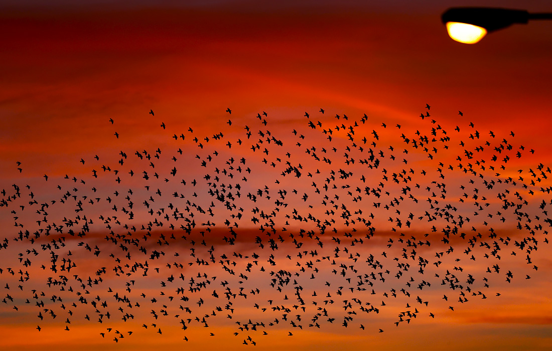 Восход солнца в испанской Наварре