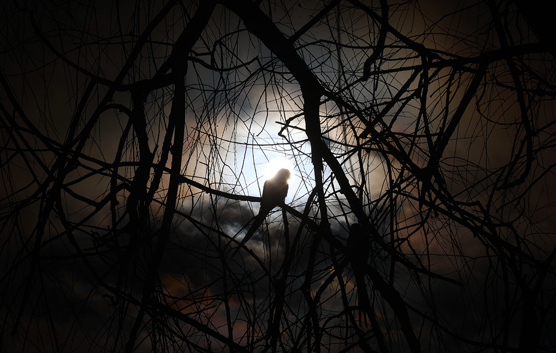 Полнолуние в турецкой Анкаре