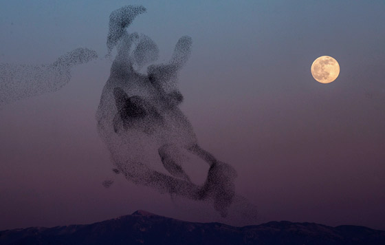 Фотохроника 18 января