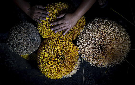 Фотохроника 19 января