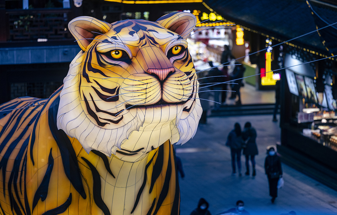 Подготовка к Новому году по лунному календарю в Шанхае