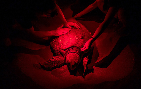 Фотохроника 21 января