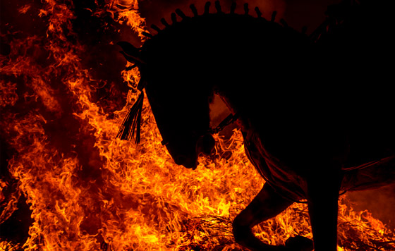 Лучшие фото недели