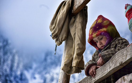 Фотохроника 28 января