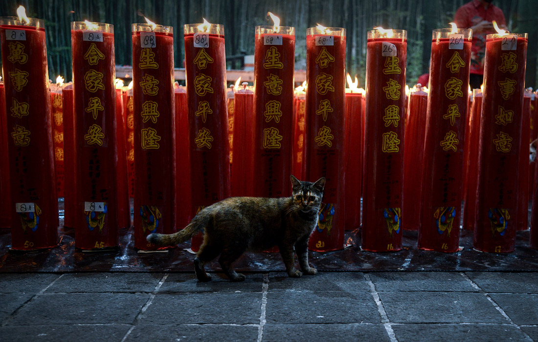 Накануне Нового года в Богоре, Западная Ява