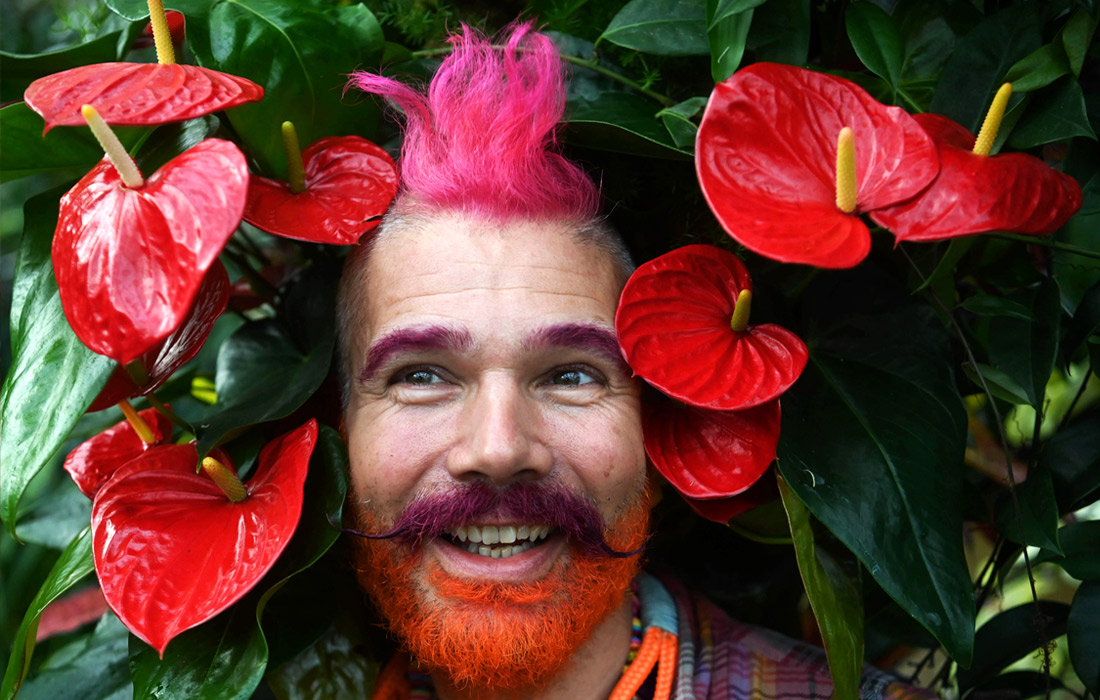 Фестиваль орхидей открывается в лондонском Королевском ботаническом саду Кью