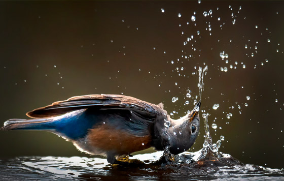 Лучшие фото недели