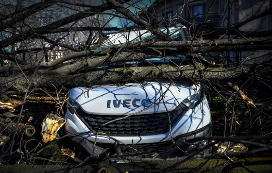 Фотохроника 8 февраля