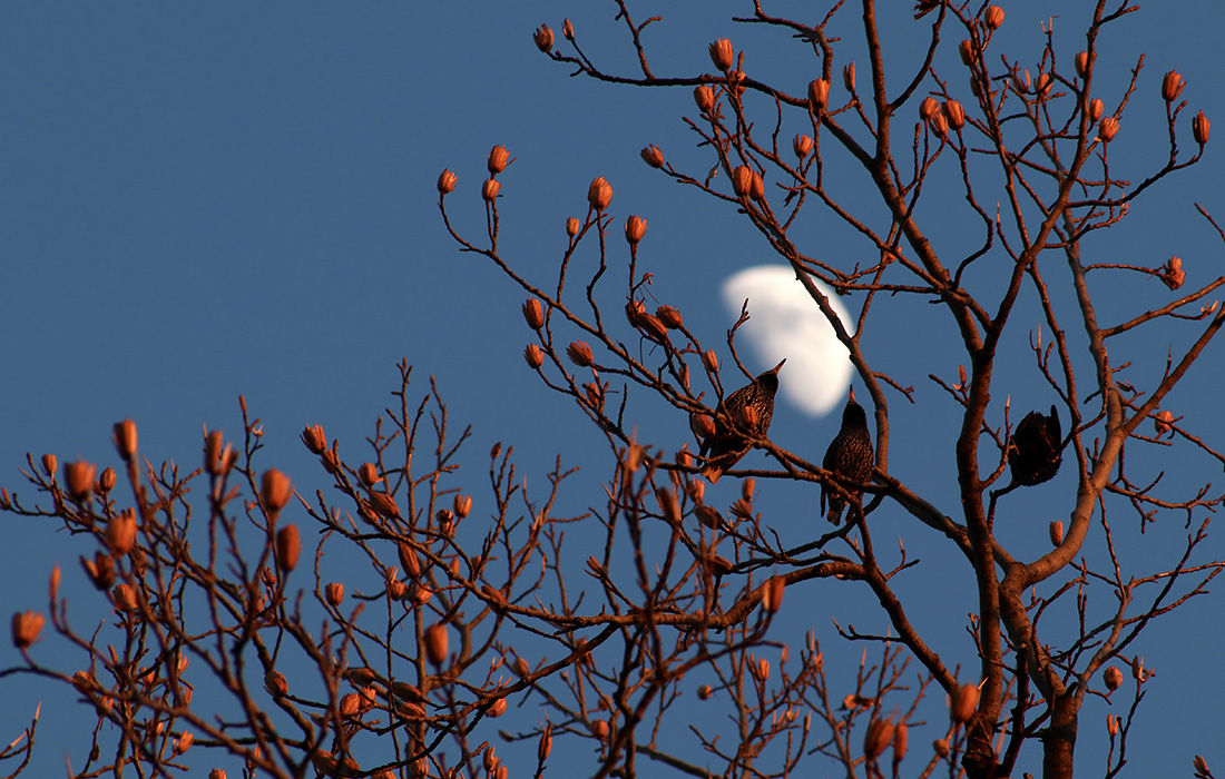 Закат в Нью-Джерси