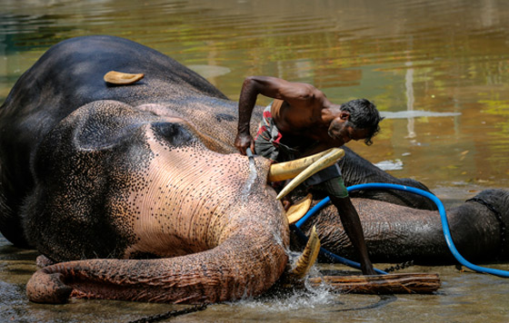 Фотохроника 15 февраля