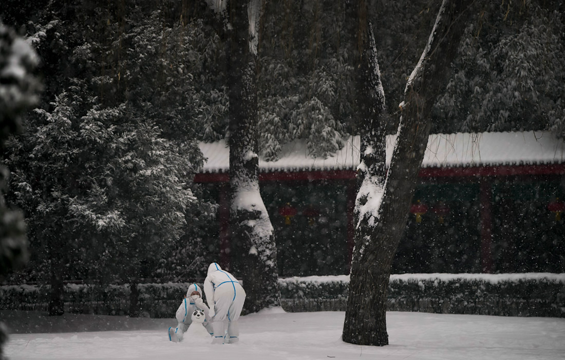 14 февраля. На Олимпиаде в Пекине выявили три новых случая заражения коронавирусом.