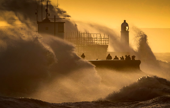 Лучшие фото недели