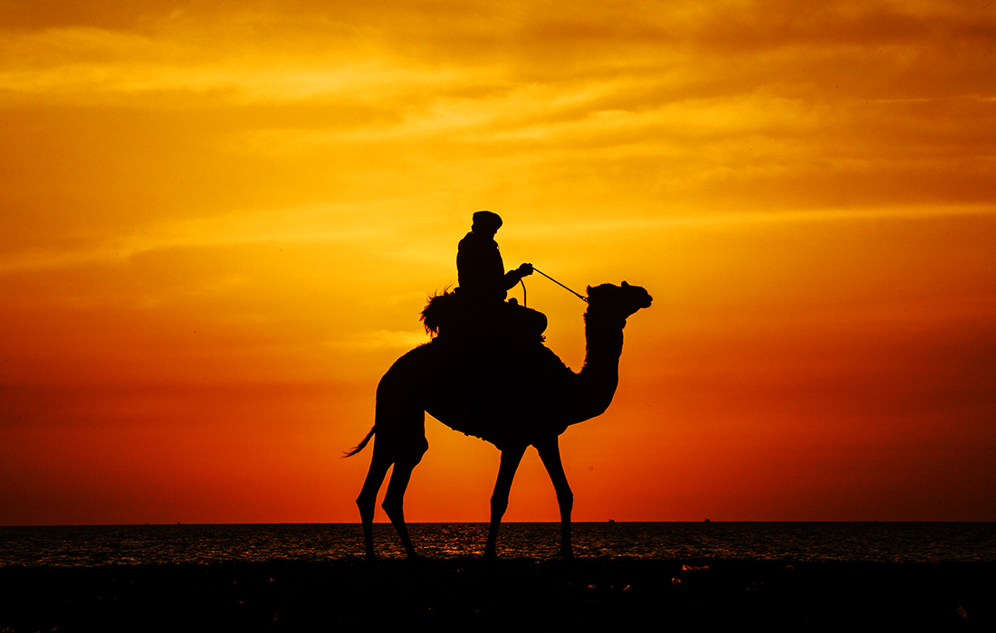 Рассвет в Газе