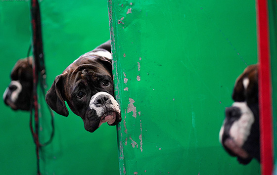 Фотохроника 10 марта